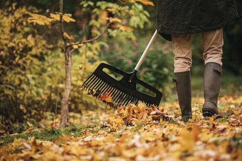 Jakie prace trzeba zrobić jesienią w ogrodzie, aby wiosną nas zachwycał?